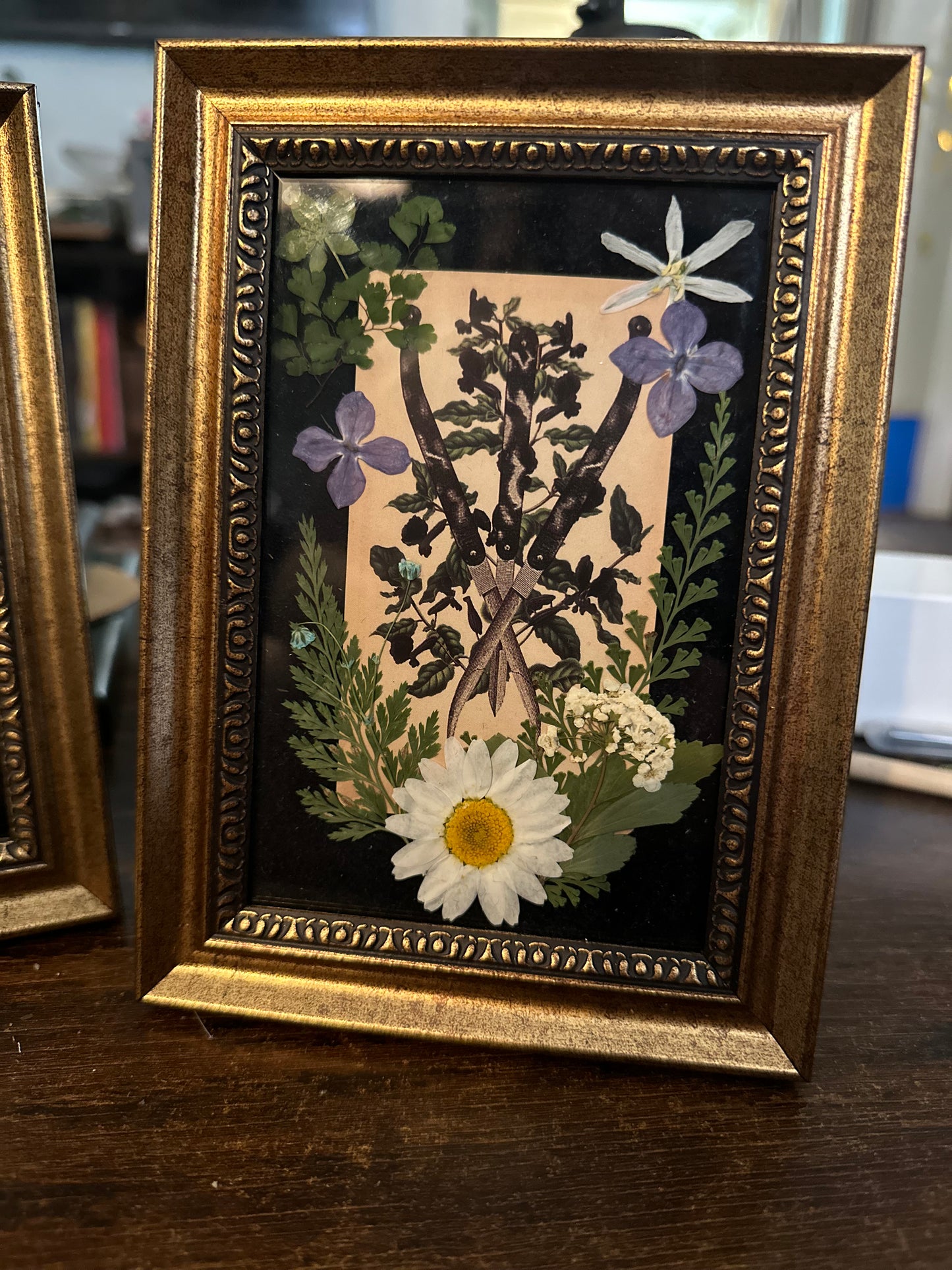 Three of Blades: The Antique Anatomy