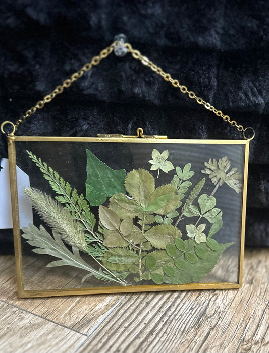 Green Goddess (hanging)