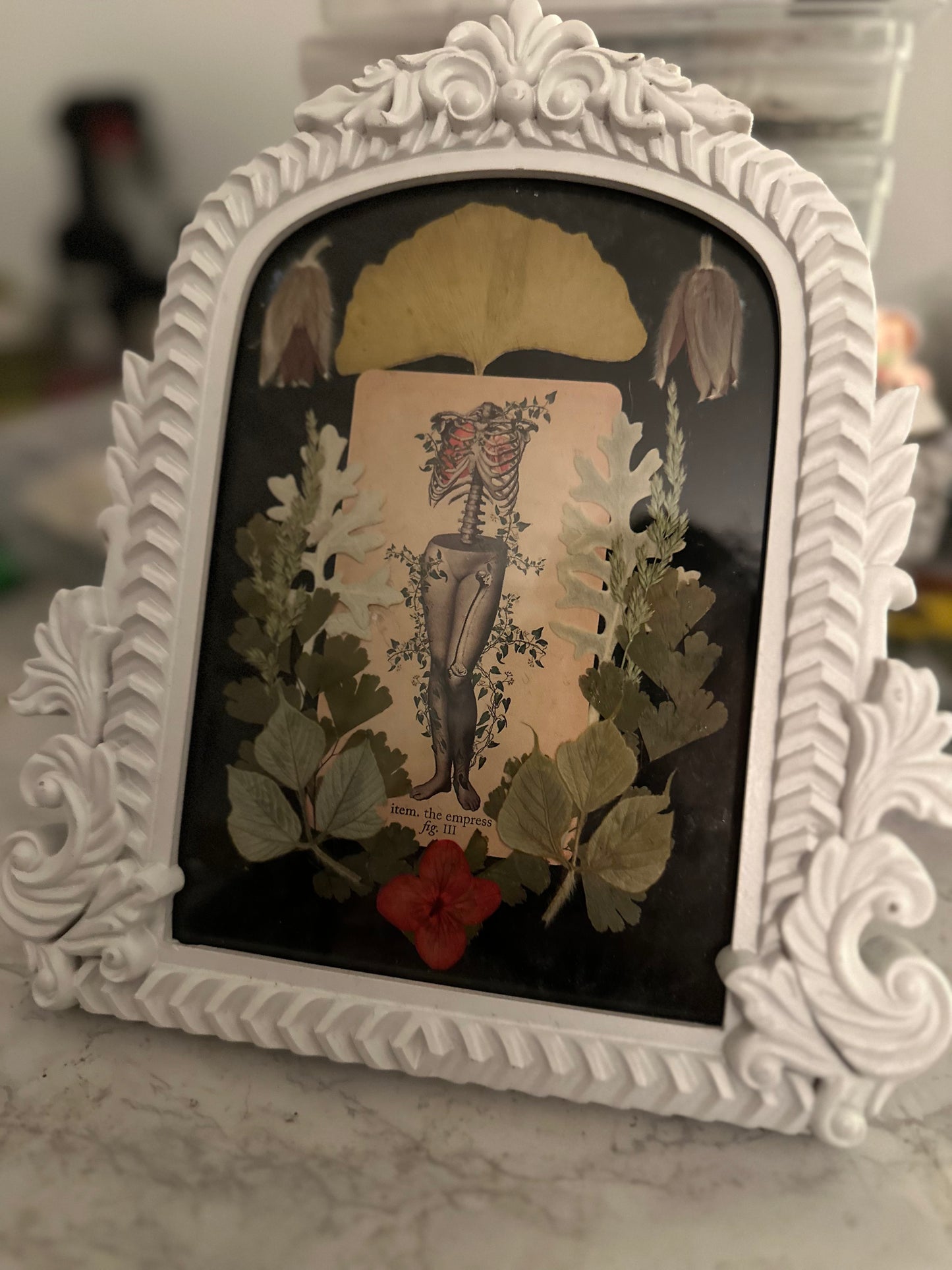 Empress: The Antique Anatomy