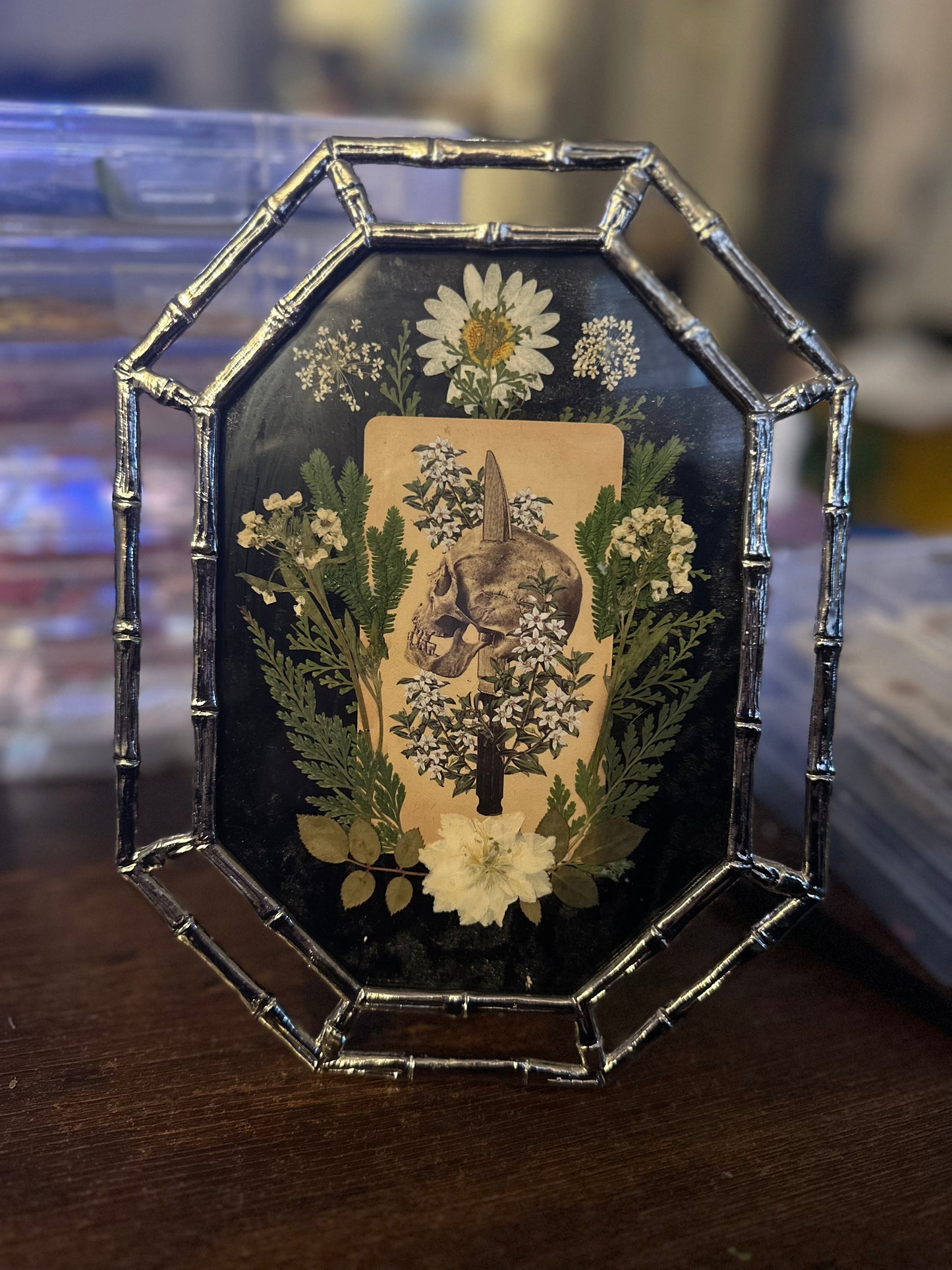 Queen of Blades + Bones: The Antique Anatomy