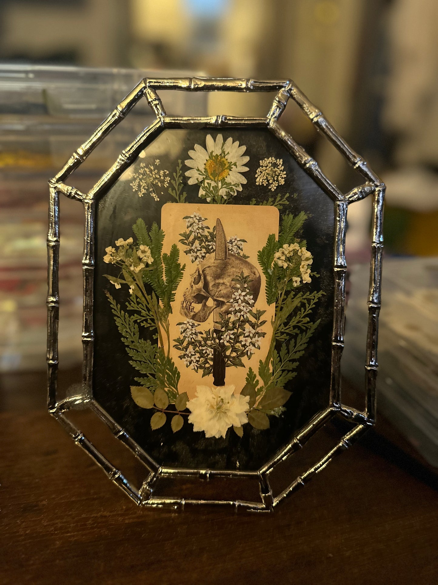 Queen of Blades + Bones: The Antique Anatomy