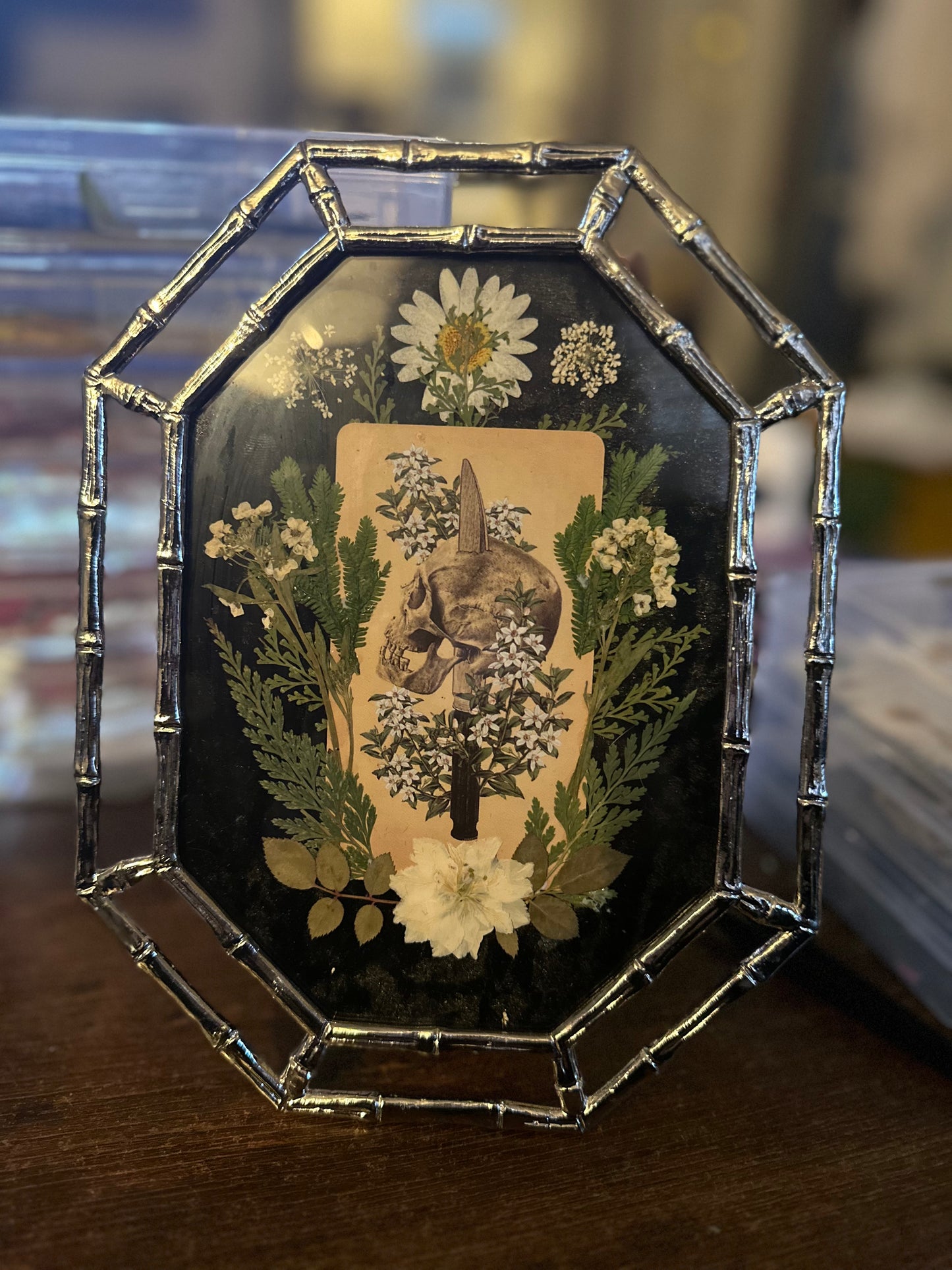 Queen of Blades + Bones: The Antique Anatomy