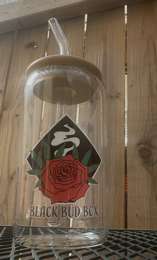 BBB Reusable Glass Cup + Straw Set