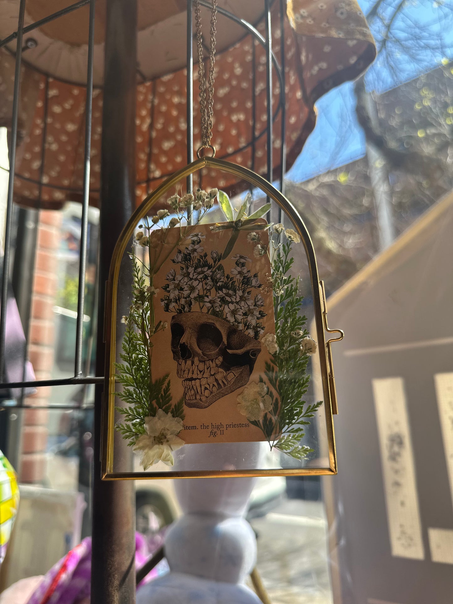 High Priestess: The Antique Anatomy