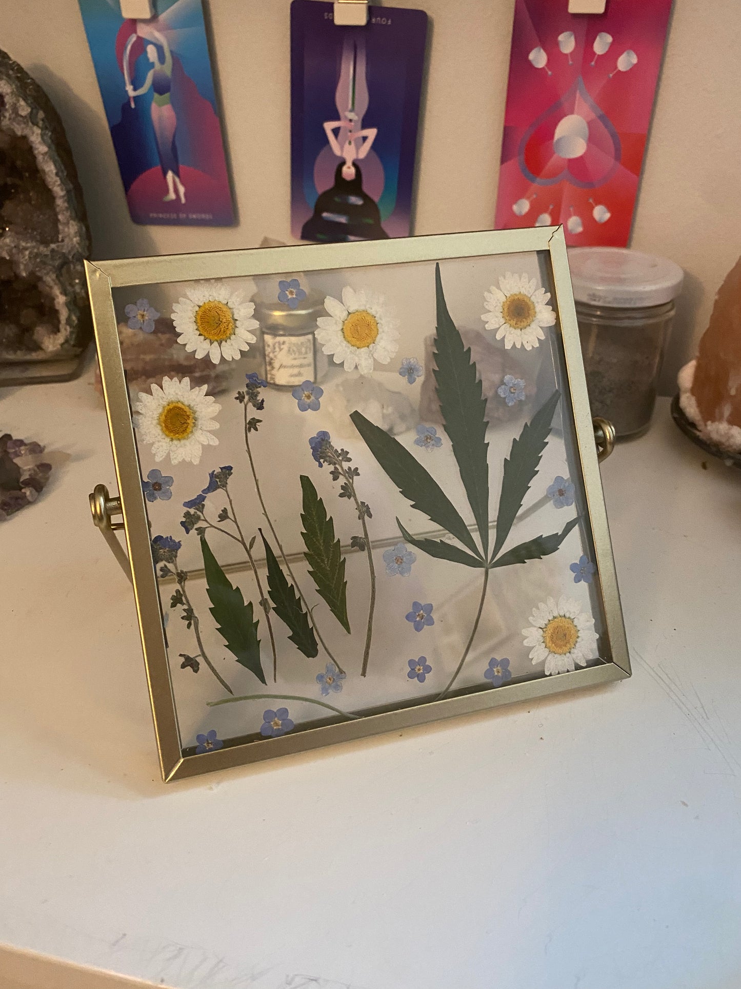 Pressed Flower Art: Big Mary