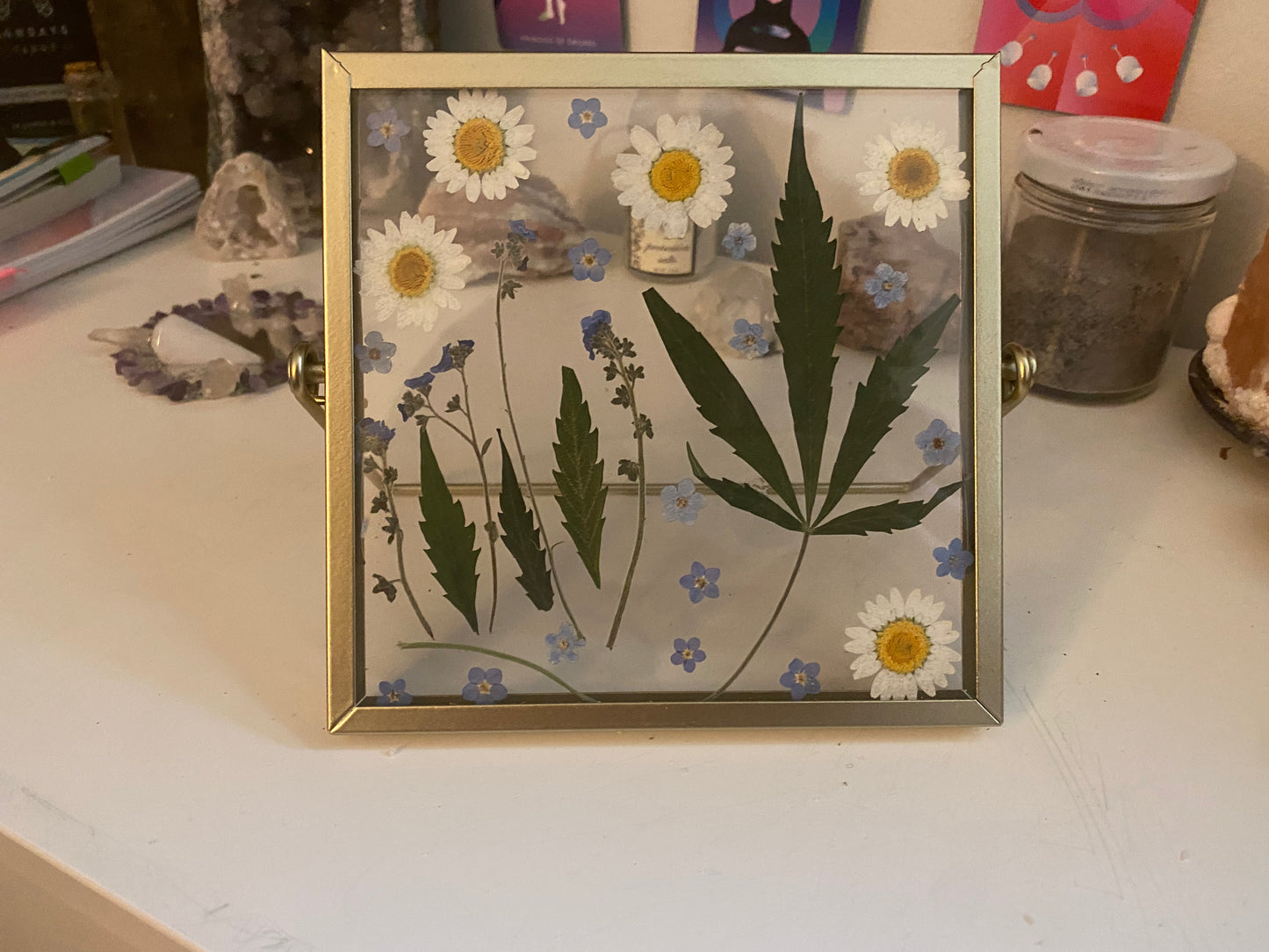 Pressed Flower Art: Big Mary