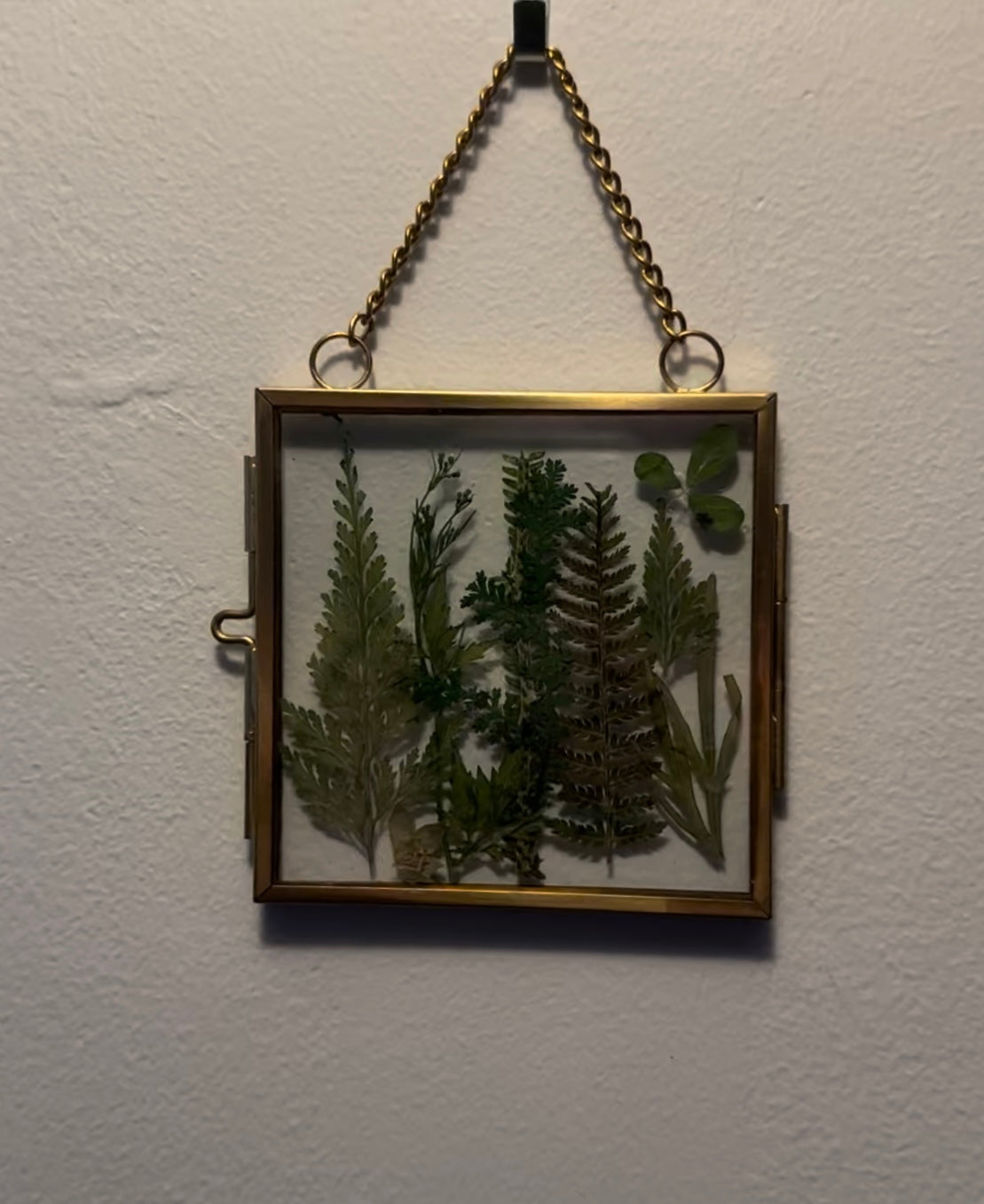 Hanging Gold Frame with all Greens