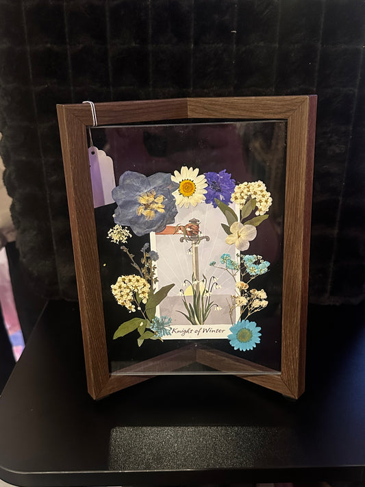 Knight of Winter (Pentacles)