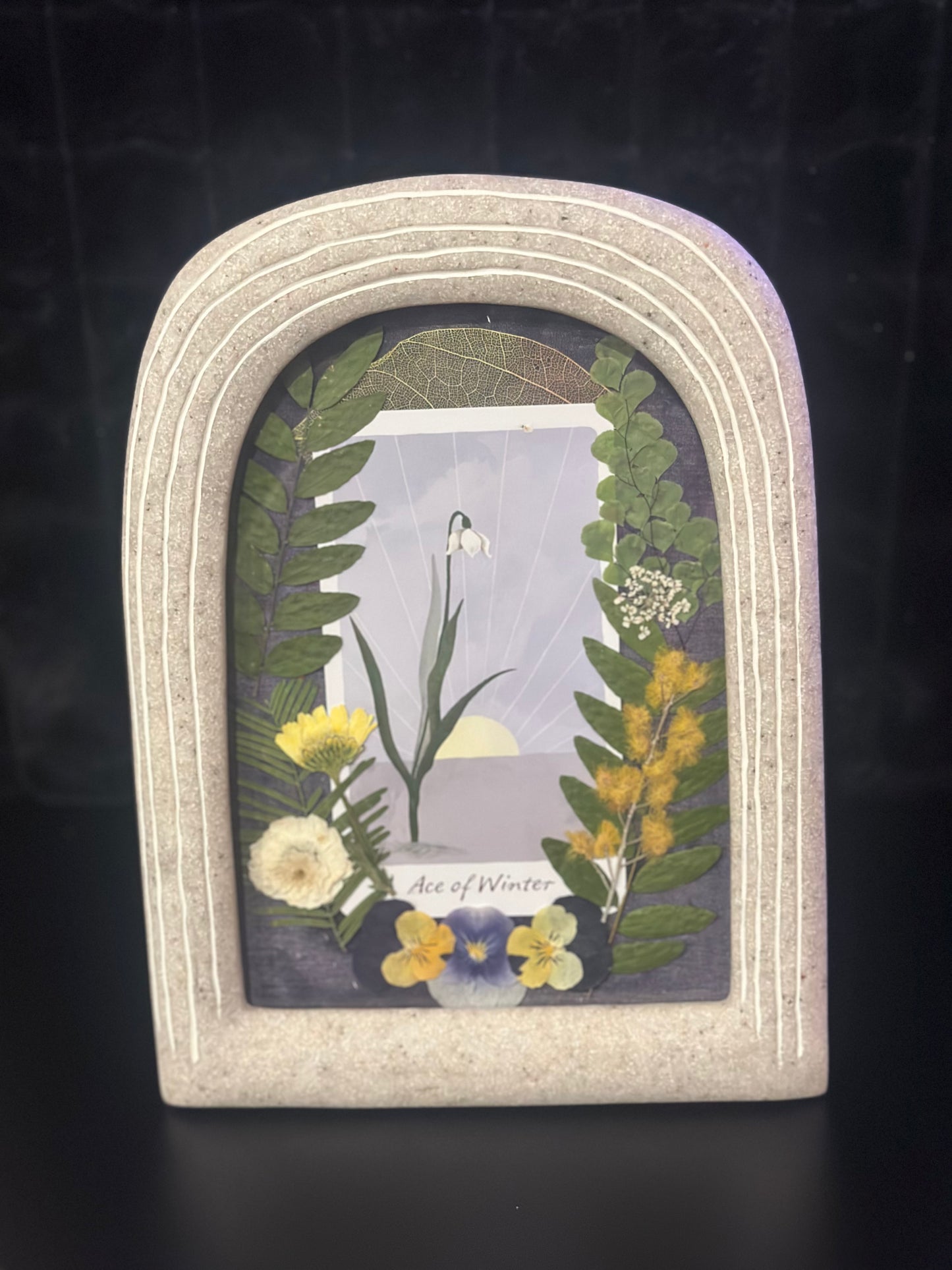 Ace of Winter (Pentacles)