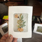 Blank Botanical Greeting Cards (available at 8th and ash and online)