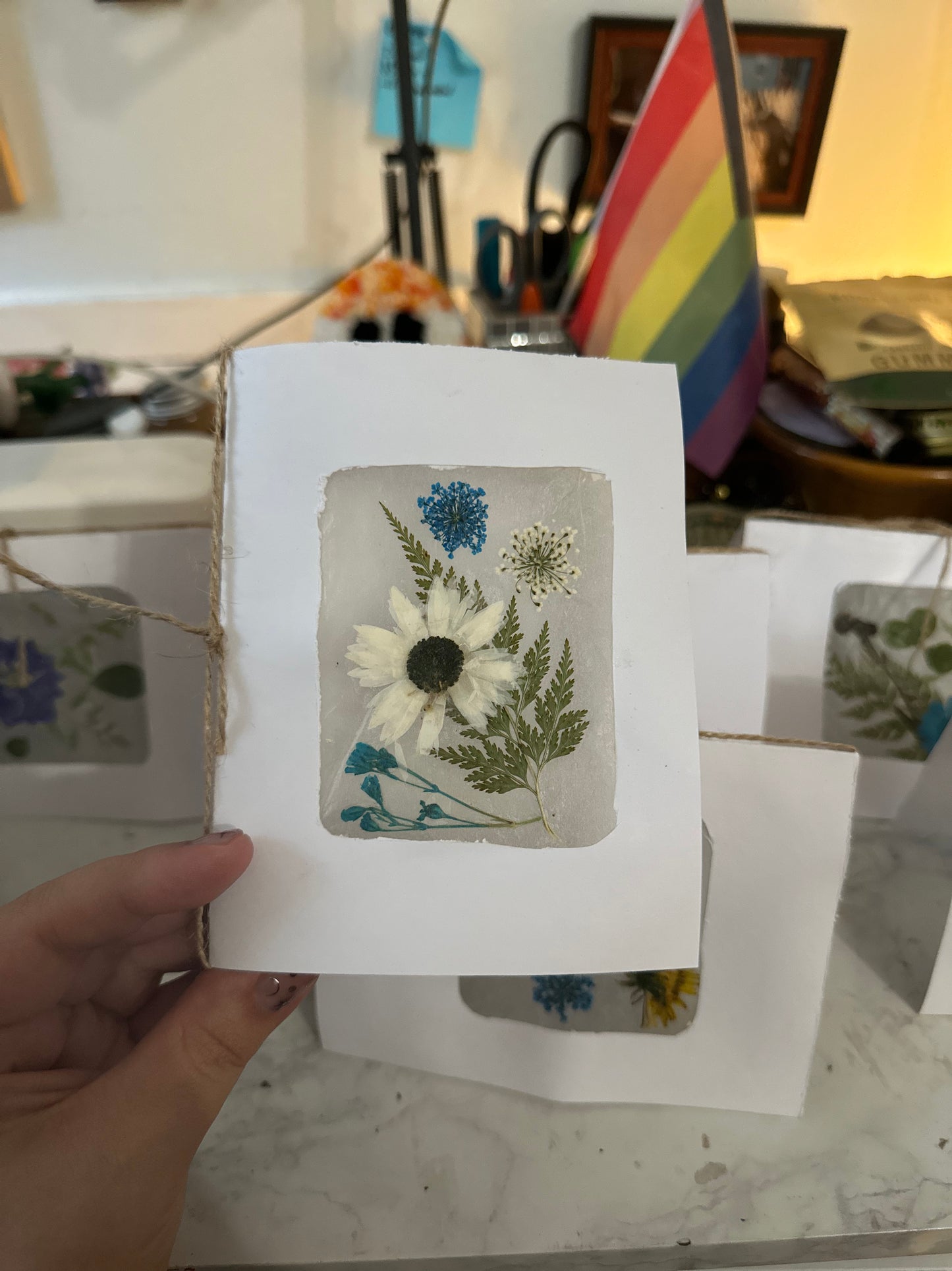 Blank Botanical Greeting Cards (available at 8th and ash and online)