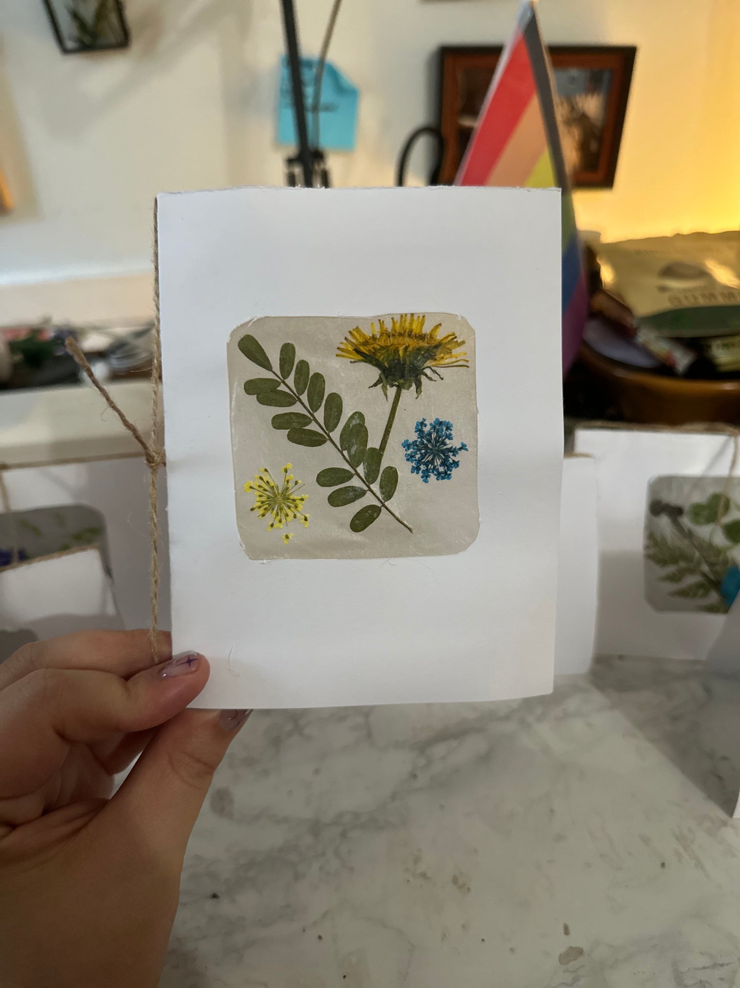 Blank Botanical Greeting Cards (available at 8th and ash and online)