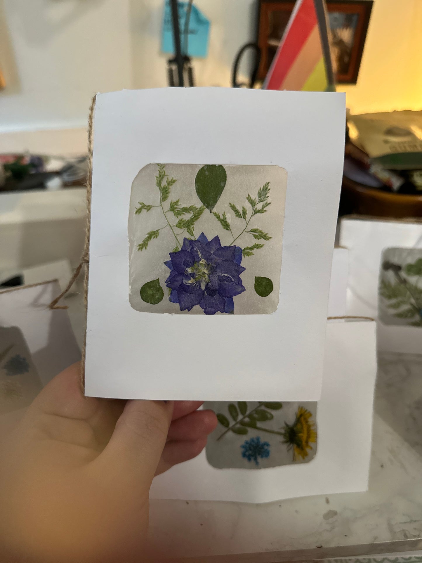 Blank Botanical Greeting Cards (available at 8th and ash and online)