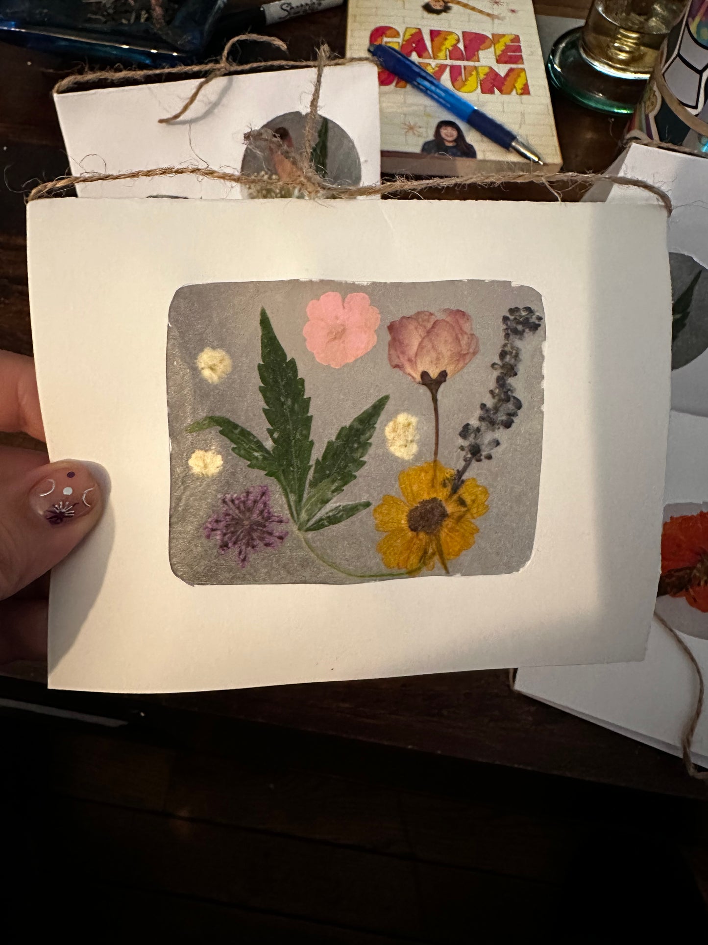 Blank Botanical Greeting Cards (available at 8th and ash and online)