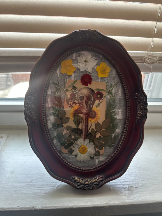 Burgundy Skull: The Antique Anatomy