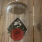 BBB Reusable Glass Cup + Straw Set
