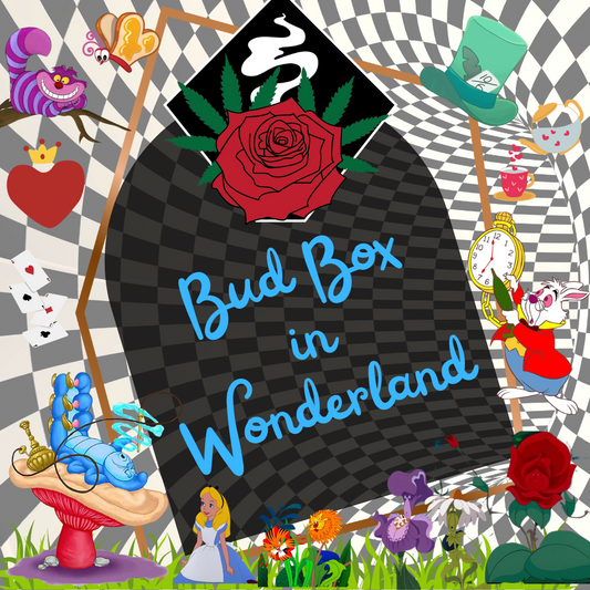 Bud Box in Wonderland