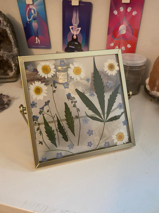 Pressed Flower Art: Big Mary